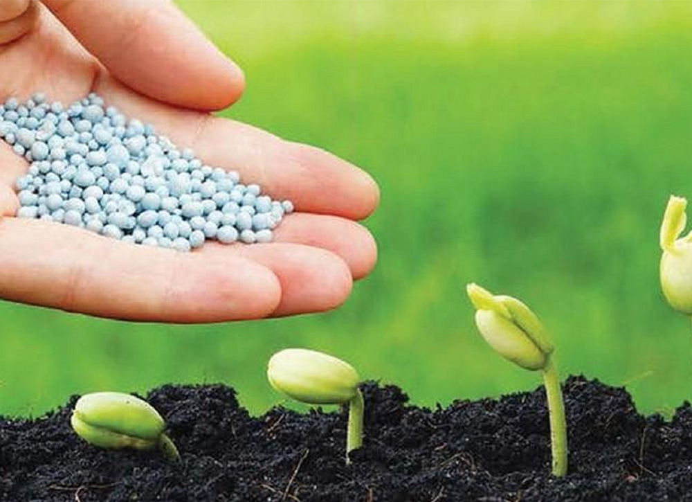 Xử lý khí thải nhà máy sản xuất phân bón bằng công nghệ lọc tĩnh điện